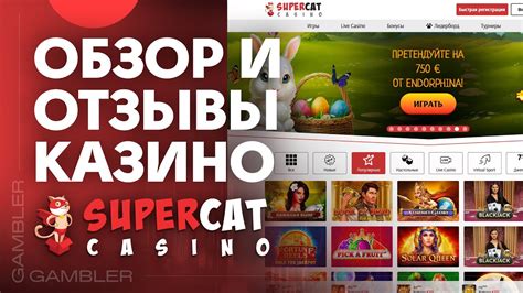 Казино supercat скачать