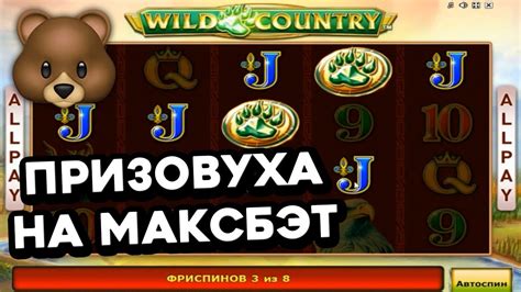 Казино wild играть на реальные деньги