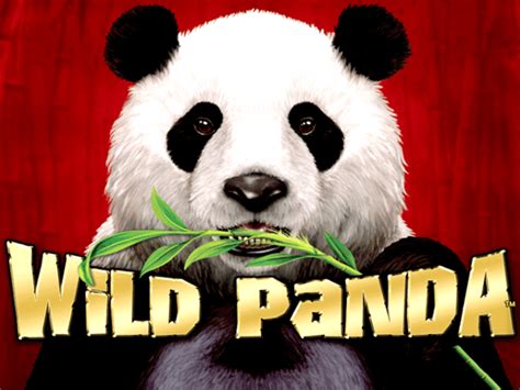 100 Pandas Maquina De Fenda
