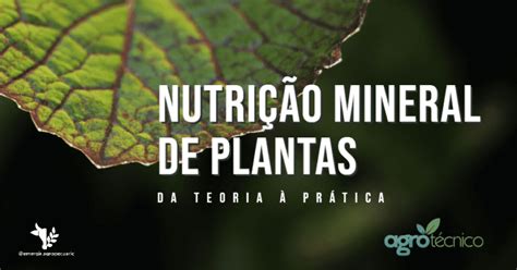 Blackjack Nutricao De Plantas