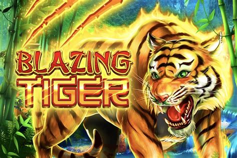 Blazing Tiger Brabet