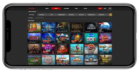 Bodog Casino Mobile App