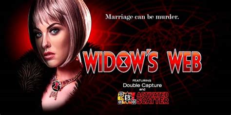Caught In The Widow S Web Bwin