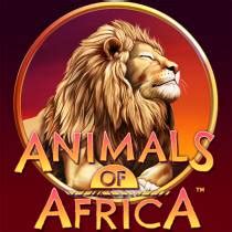 Jogar Animals Of Africa Com Dinheiro Real