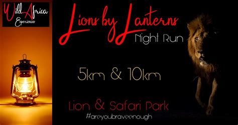 Lanterns Lions Betsson
