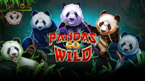 Panda Wilds Bodog