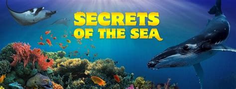 Secret Of Ocean Betsul