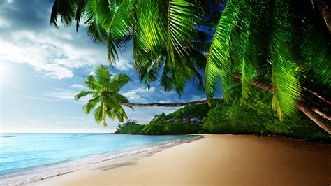 Tropic Paradise Betfair