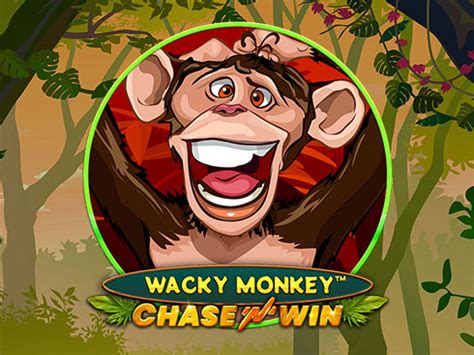 Wacky Monkey Review 2024