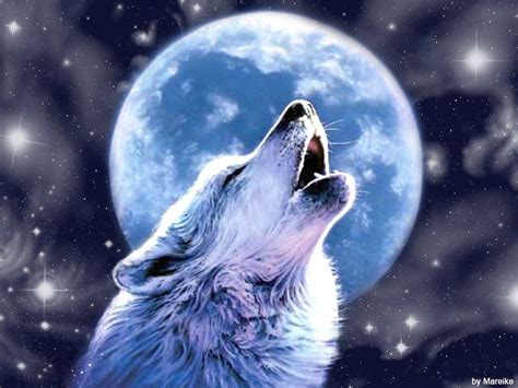 Wolf Moon Betsul