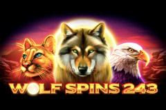 Wolf Spins 243 Betsul