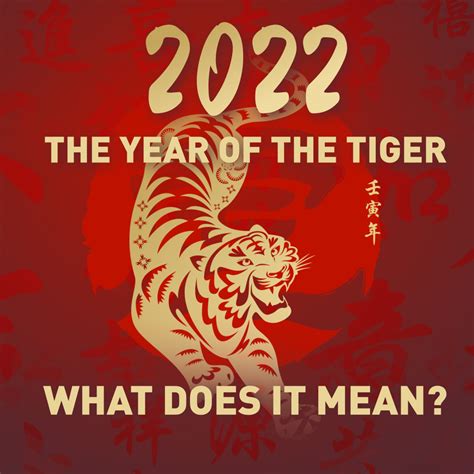 Year Of The Tiger Brabet